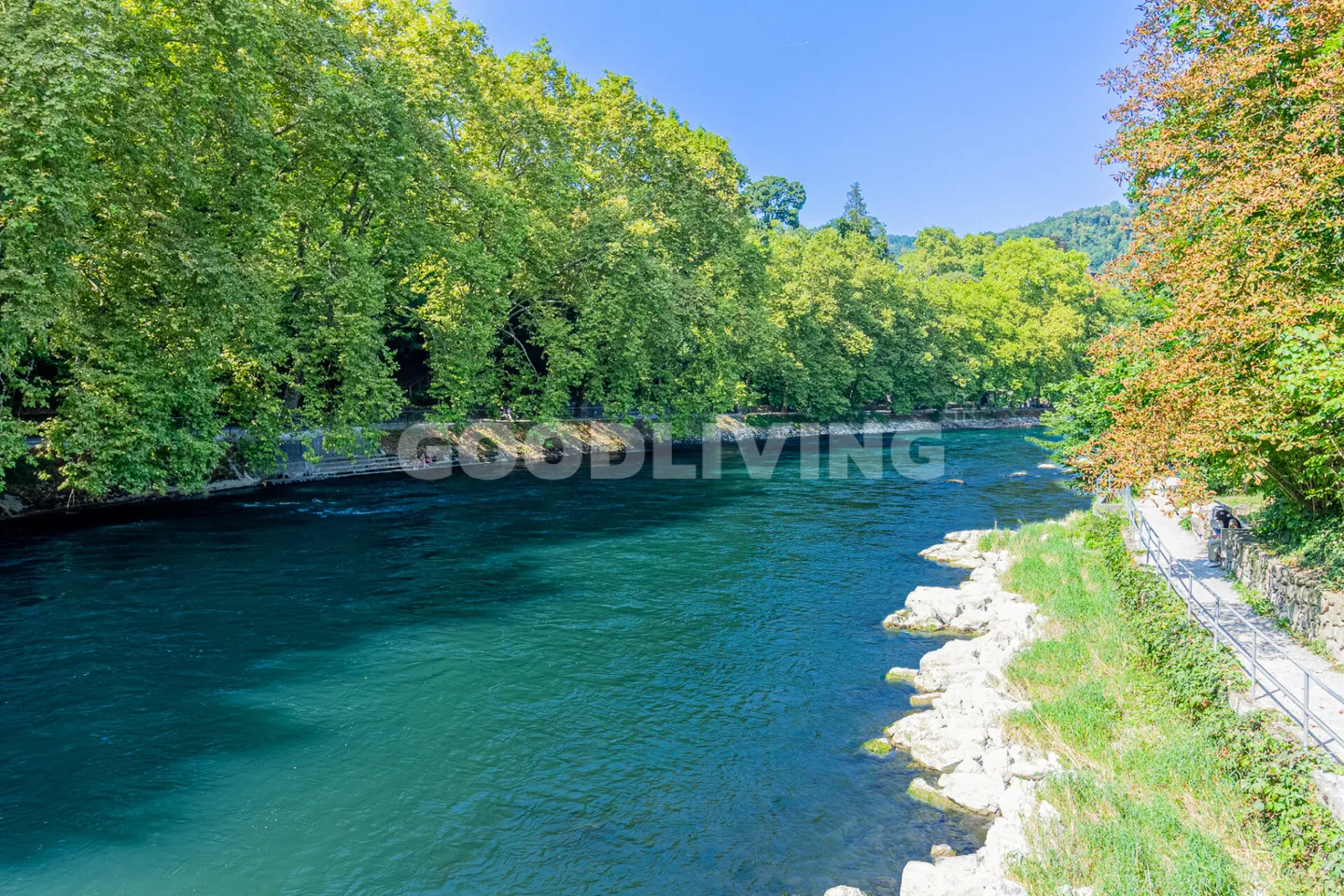 Central with a View - Photo 8 of 8