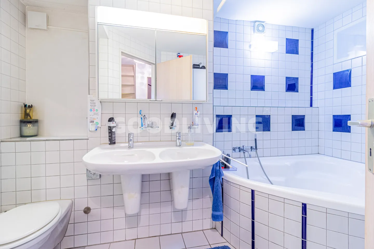 Timeless Elegance with Privacy and Garden - Photo 6 of 12