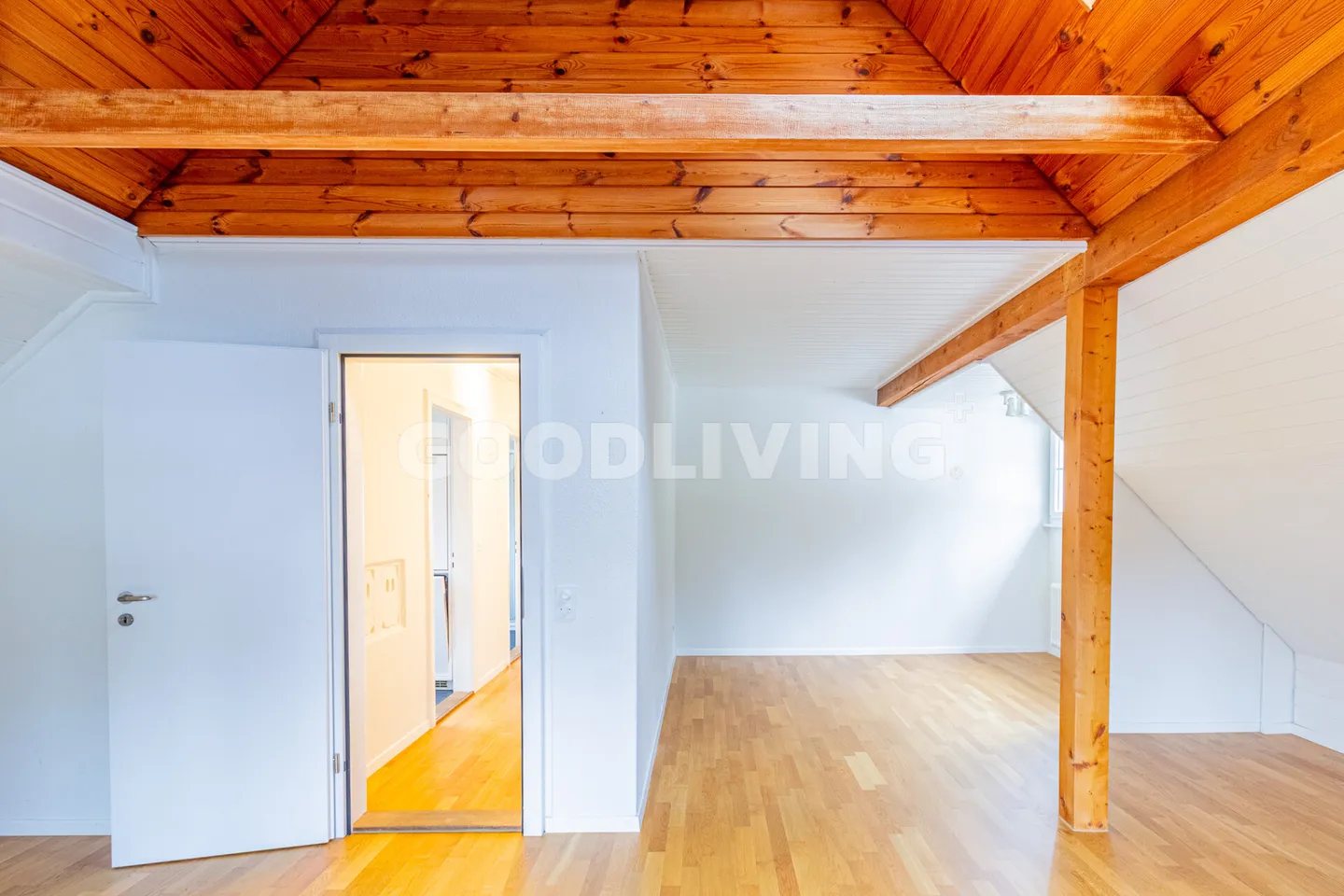 Living close to the city at the edge of the forest - Photo 11 of 13