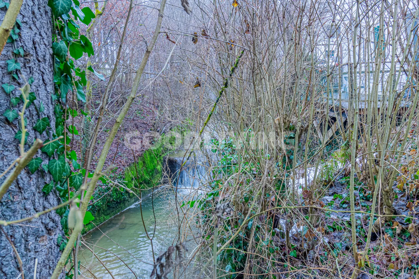 Living close to the city at the edge of the forest - Photo 13 of 13