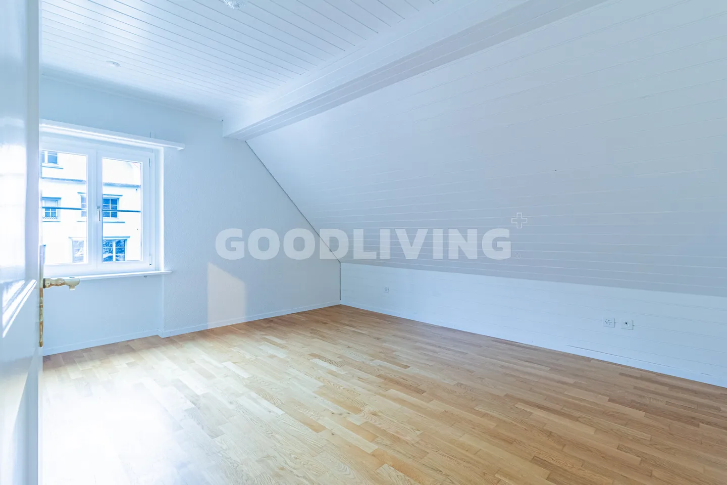 Living close to the city at the edge of the forest - Photo 9 of 13