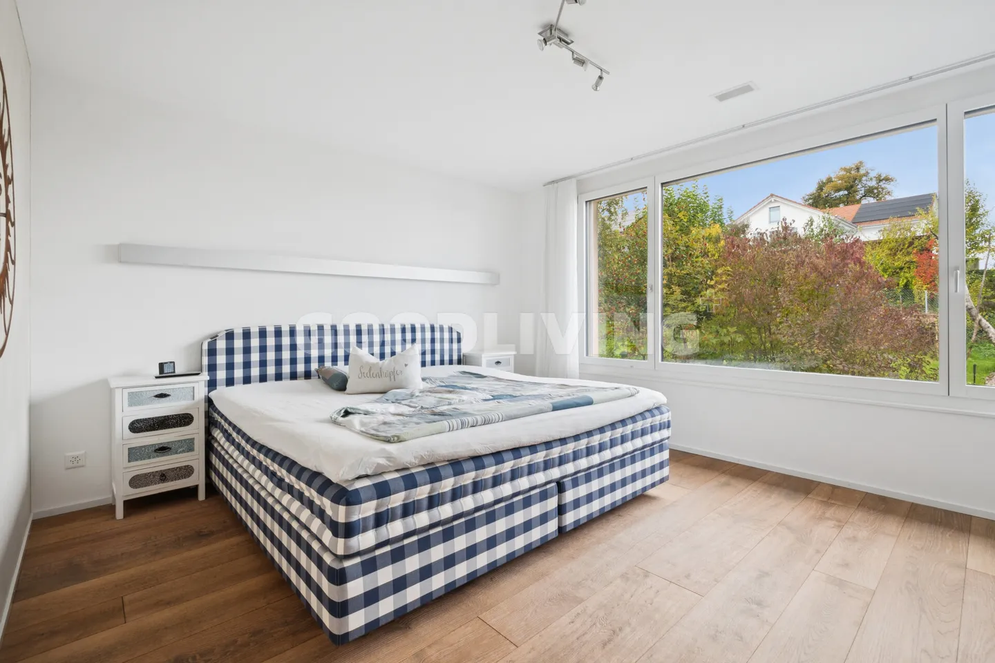 Hallwilersee...Mountains..and a dreamlike living - Photo 8 of 9