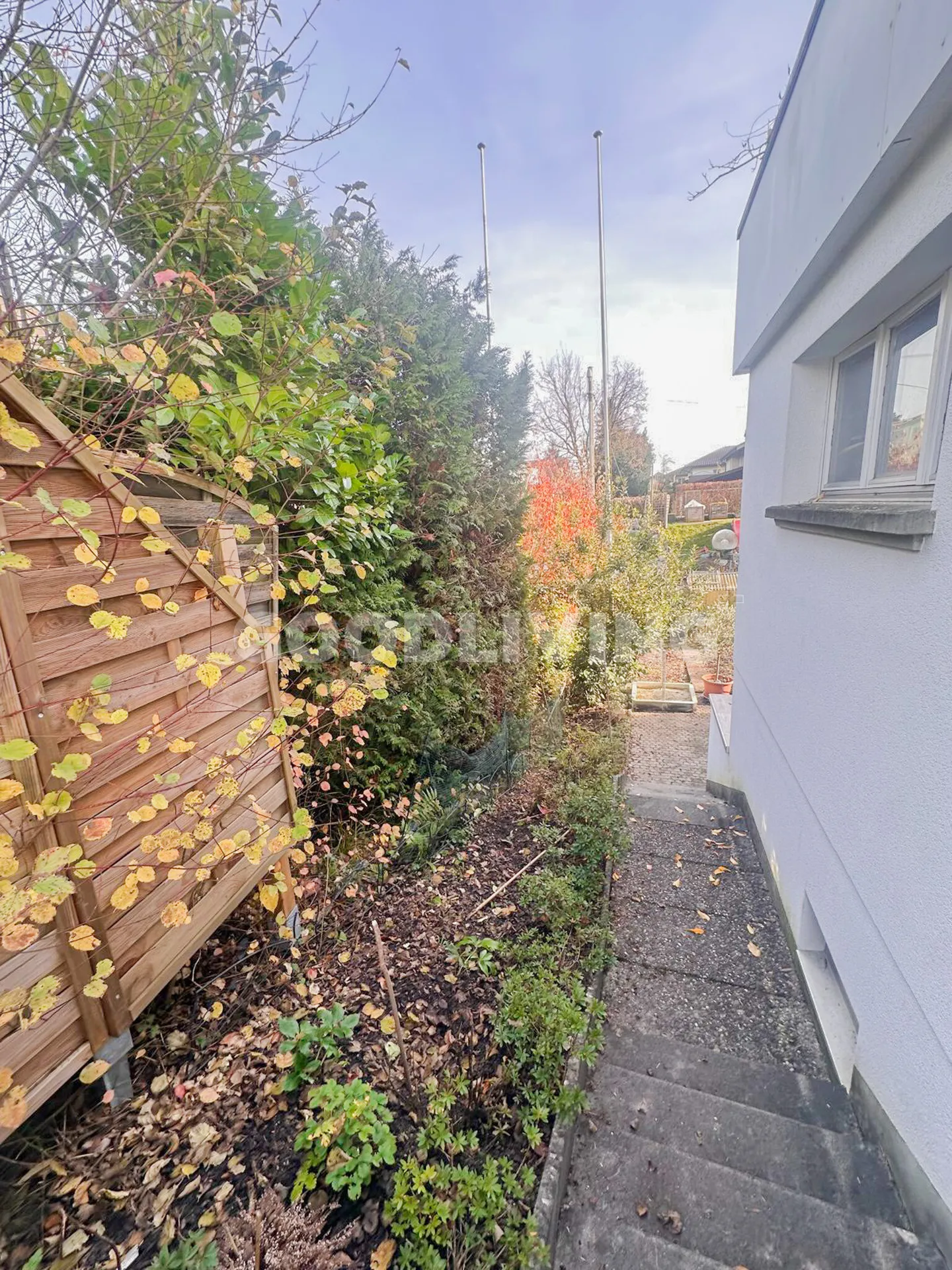 Wohnen mit Mehrwert - Foto 4 von 12