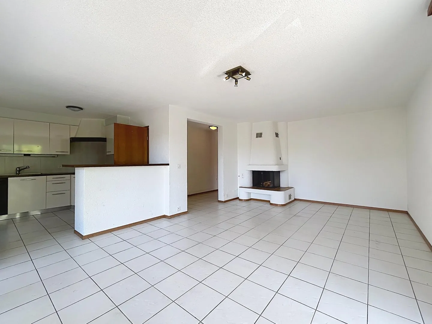 Appartement spacieux avec grande terrasse - Photo 4 sur 13