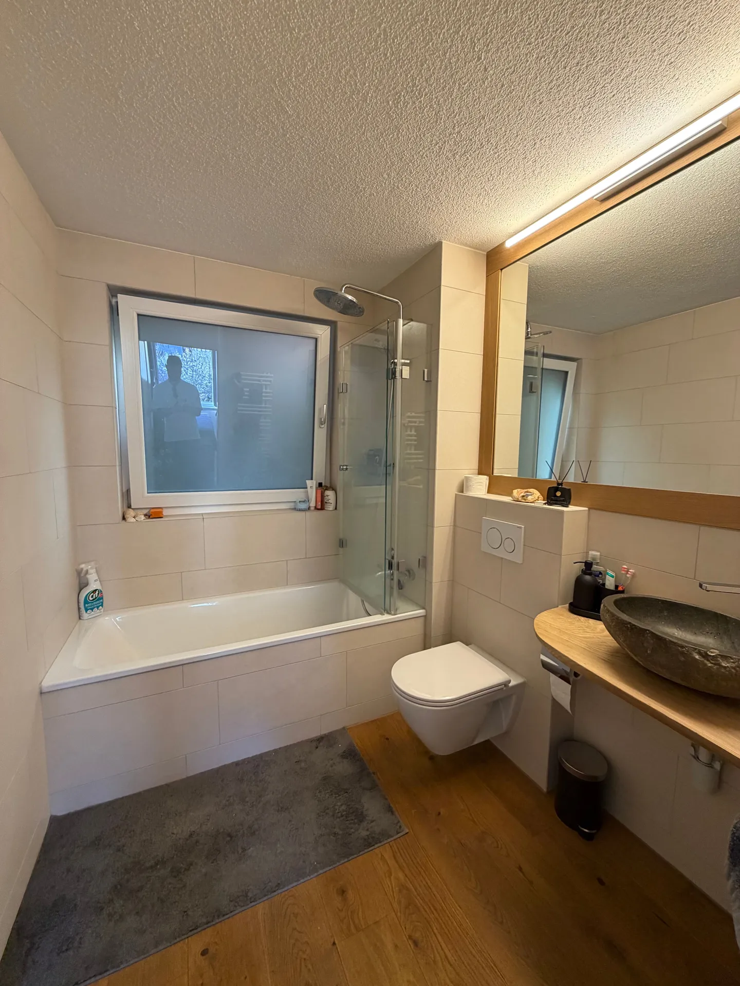 Renovated Apartment in Chur - Photo 3 of 5