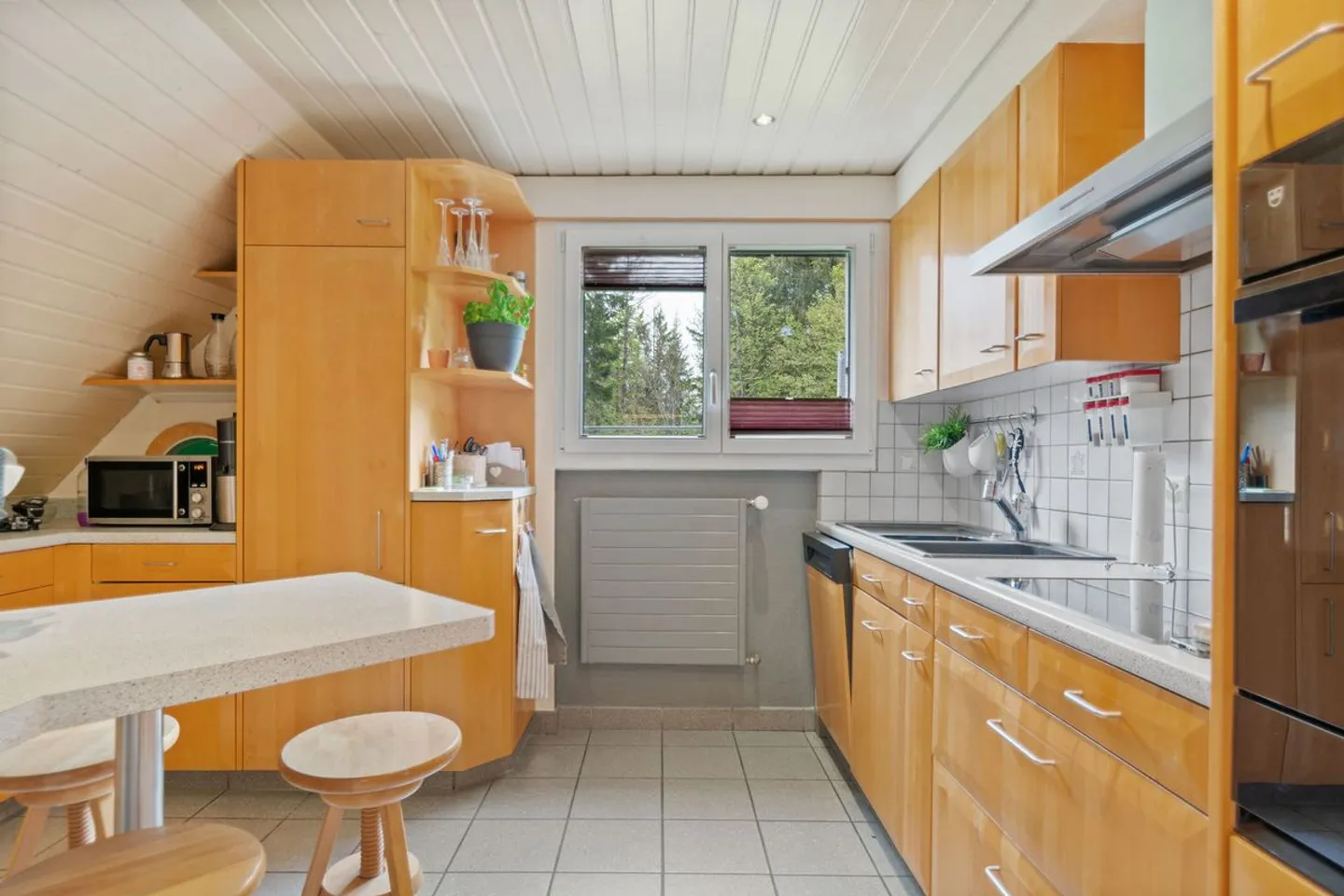 House with apartment and workshop/garage - Photo 4 of 13