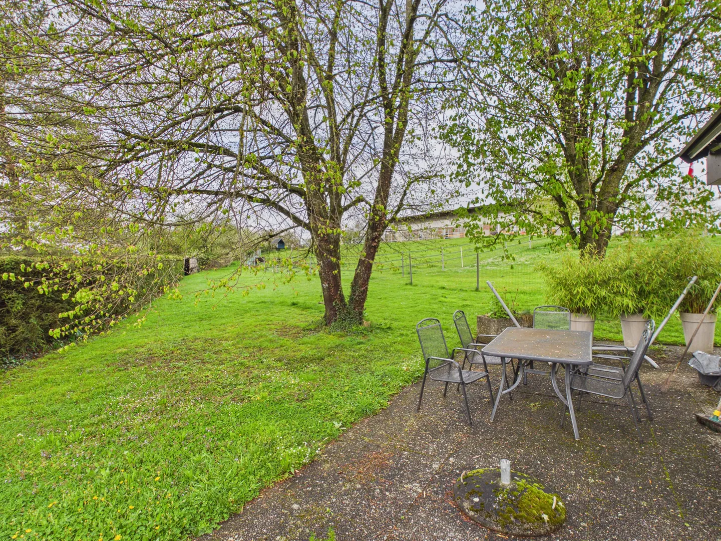 Casa con architettura contemporanea unica con giardino, veranda e grande garage - Foto 9 di 13