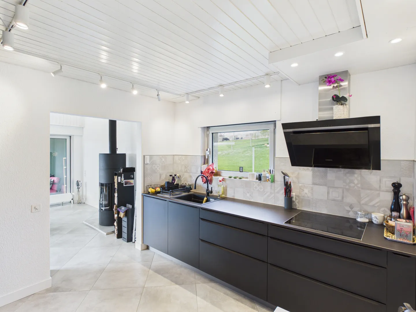 Casa con architettura contemporanea unica con giardino, veranda e grande garage - Foto 5 di 13