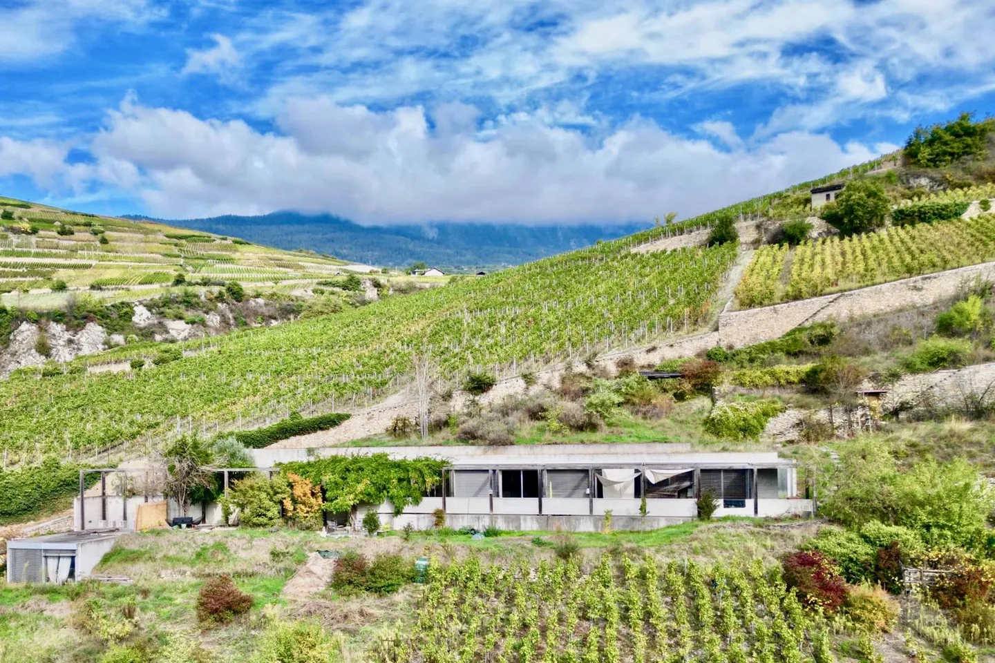 Villa architettonica unica a Sion, che beneficia di una posizione rara ed eccezionale - Foto 1 di 13