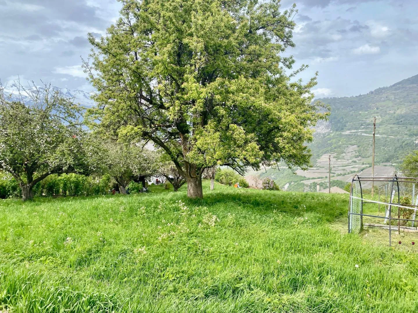 Wunderschönes Baugrundstück - Gemeinde Vex - selten zu verkaufen - Foto 1 von 8