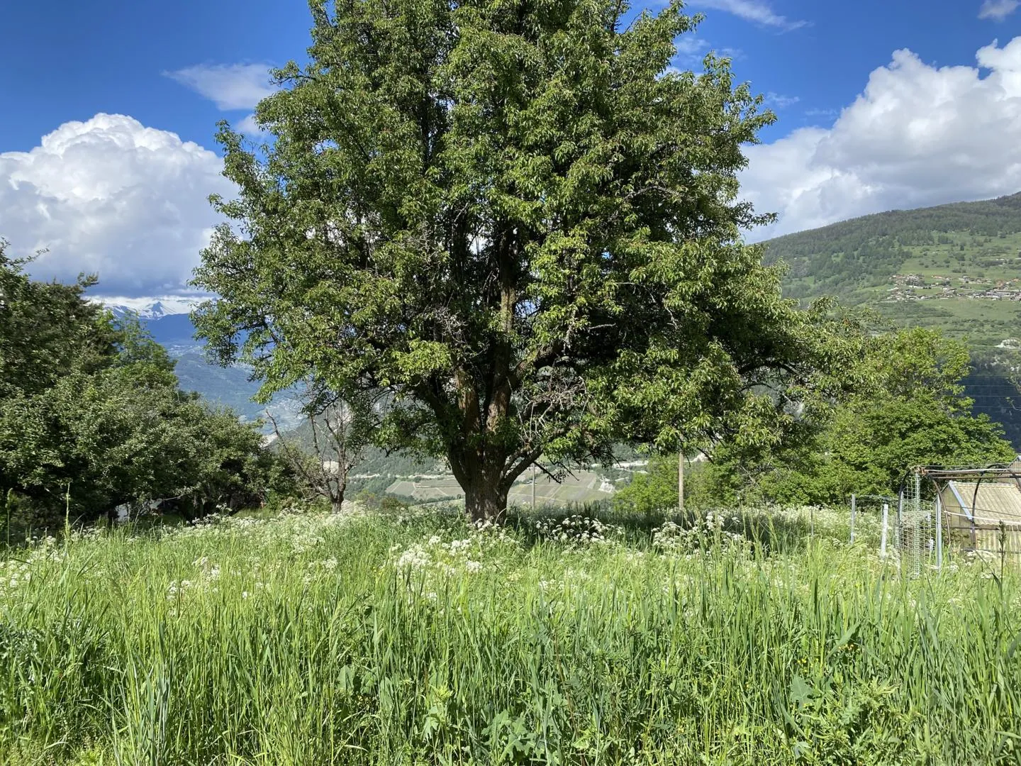 Wunderschönes Baugrundstück - Gemeinde Vex - selten zu verkaufen - Foto 7 von 8