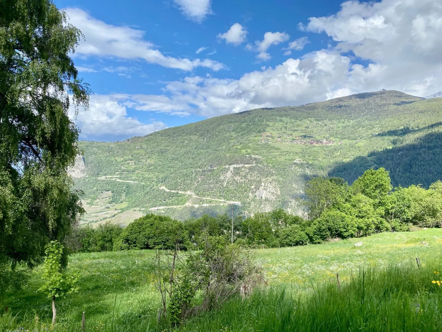 Wunderschönes Baugrundstück - Gemeinde Vex - selten zu verkaufen - Foto 6 von 8