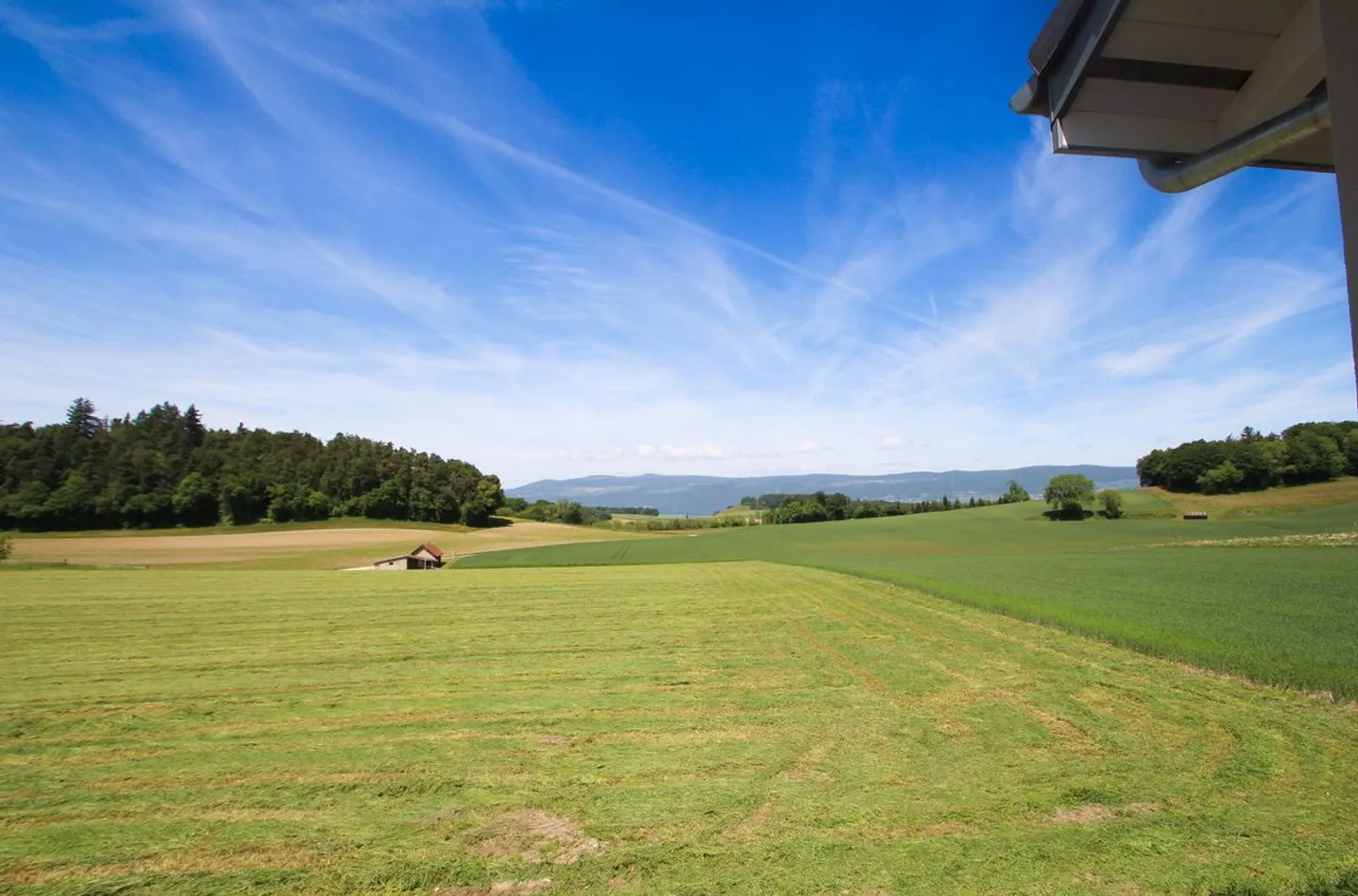 Dernières finitions à choix - Splendide villa à Cronay  - Foto 1 di 11