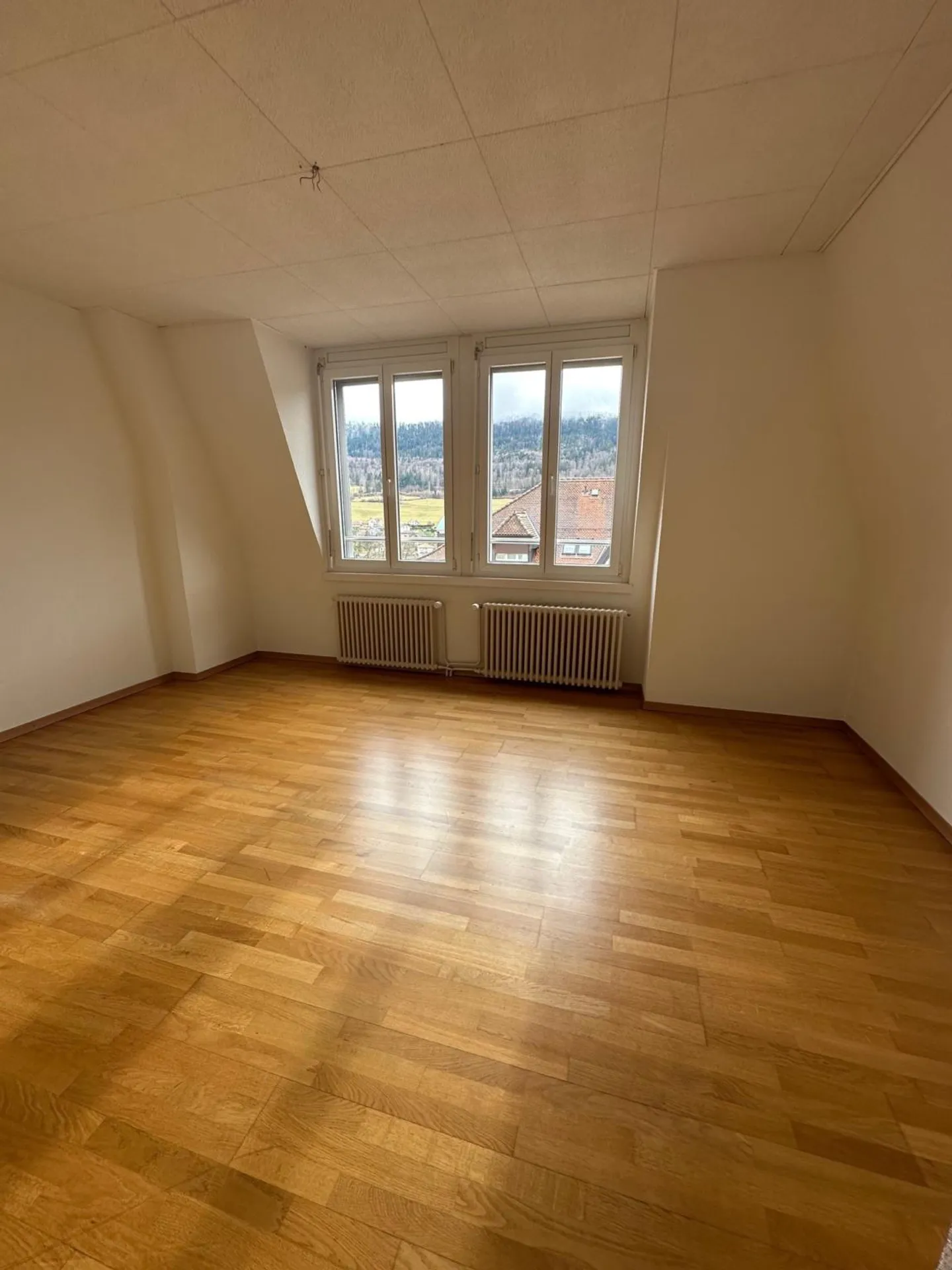 3.5 rooms on the top floor! - Photo 3 of 13