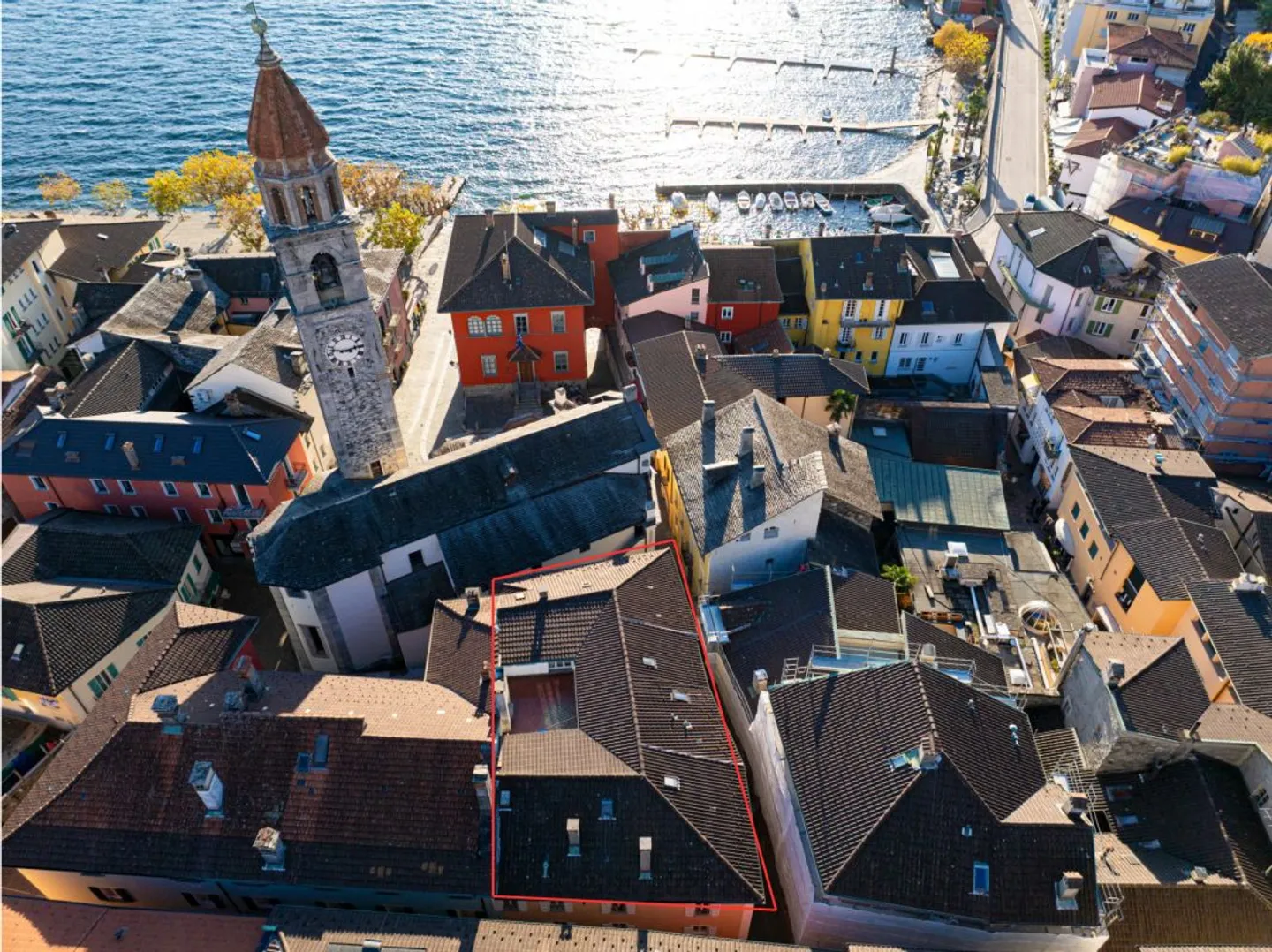 White Peacock - Photo 6 of 7