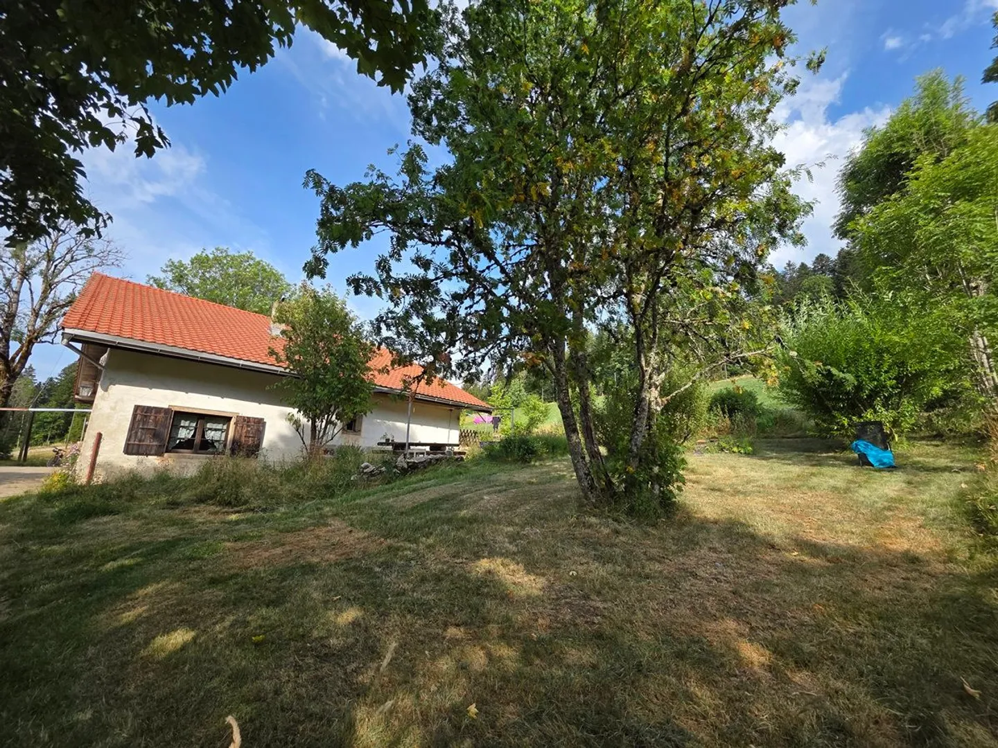 Charming renovated farmhouse with a magnificent large garden - Photo 3 of 13