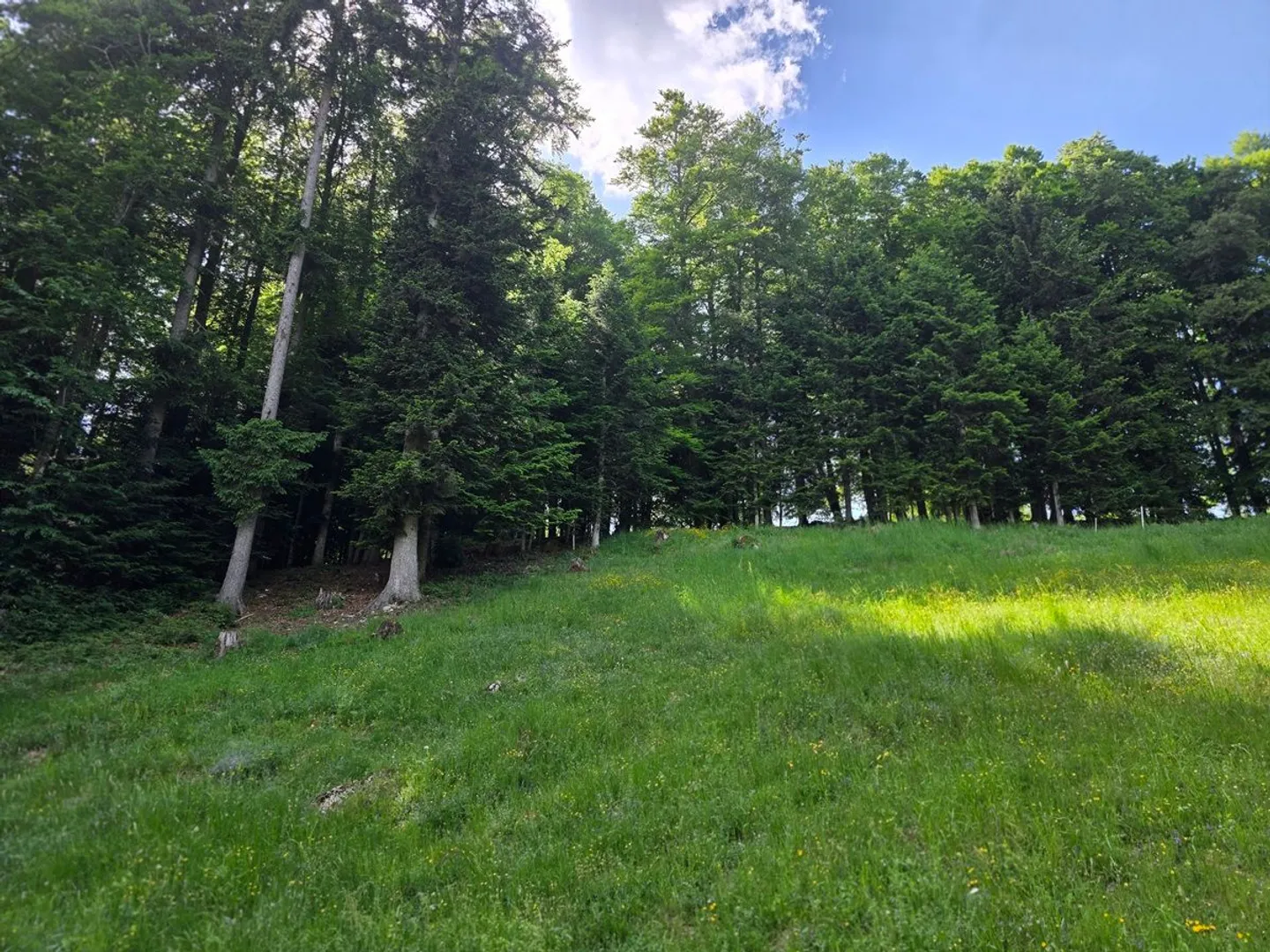 Terrain constructible de 1'878 m² à La Chaux-de-Fonds - Photo 2 of 2