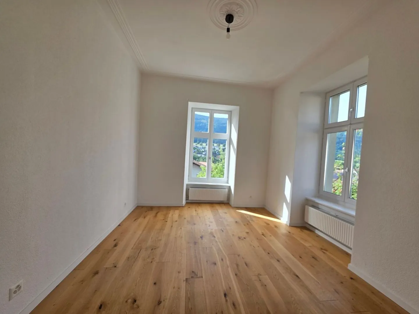 Renovated Master House - 5 Apartments in Corgémont - Photo 6 of 13