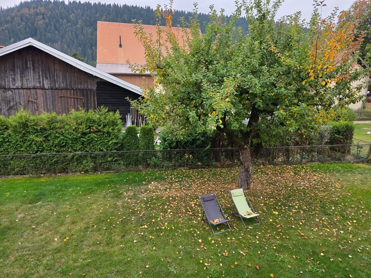 Villa indipendente baciata dal sole, con un ampio giardino e due garage privati - Foto 4 di 13