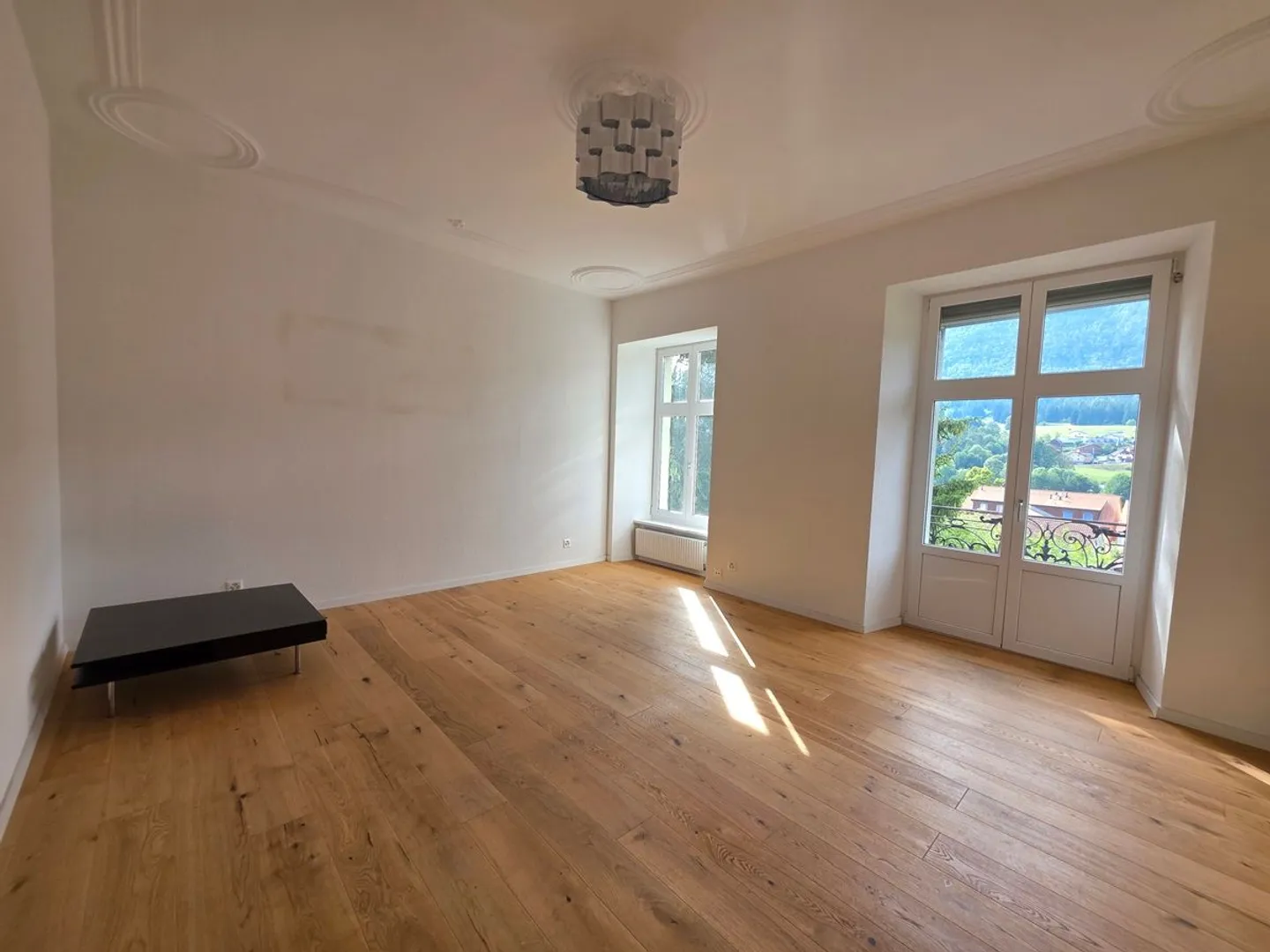 Renovated Master House - 5 Apartments in Corgémont - Photo 12 of 13