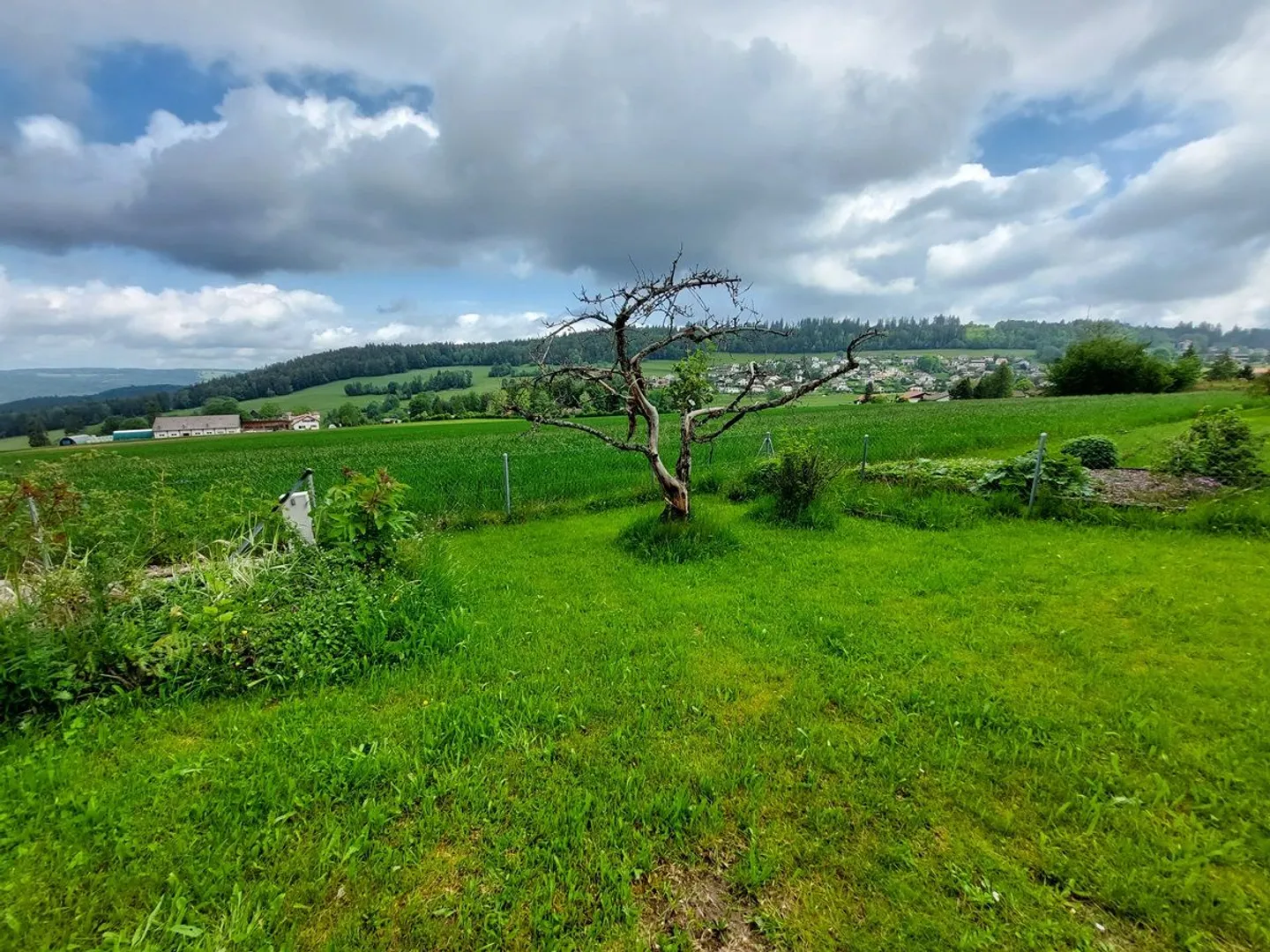 charming detached house with garden - Photo 4 of 13