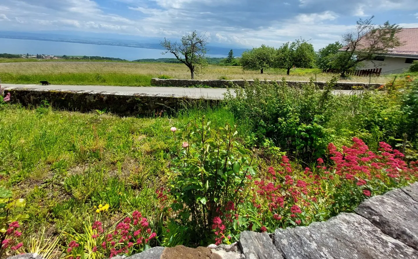 Fattoria affascinante con vista sul lago e sulle Alpi, composta da due appartamenti e un fienile - Foto 5 di 13