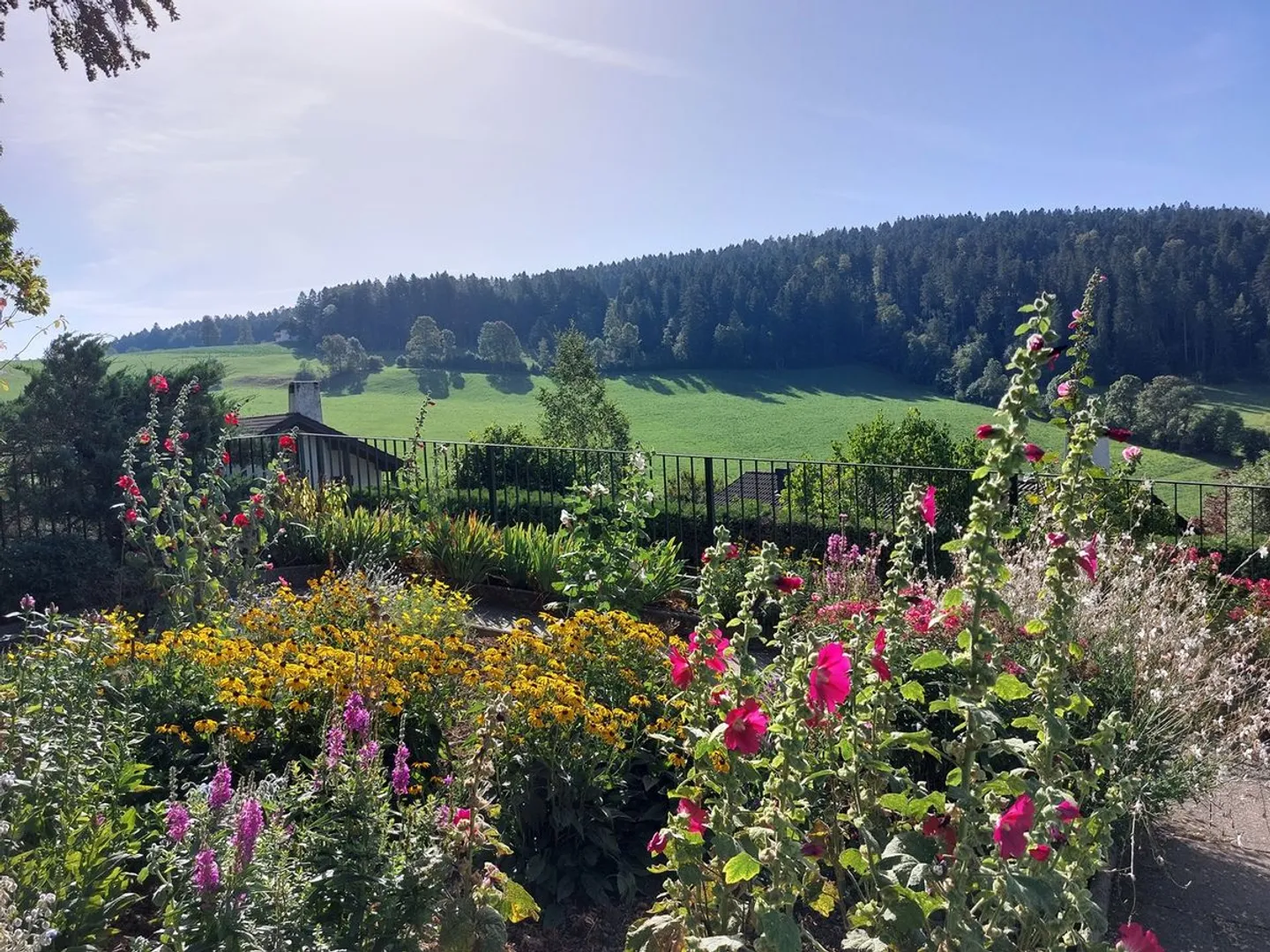 Belle villa près de la forêt - Photo 7 sur 13