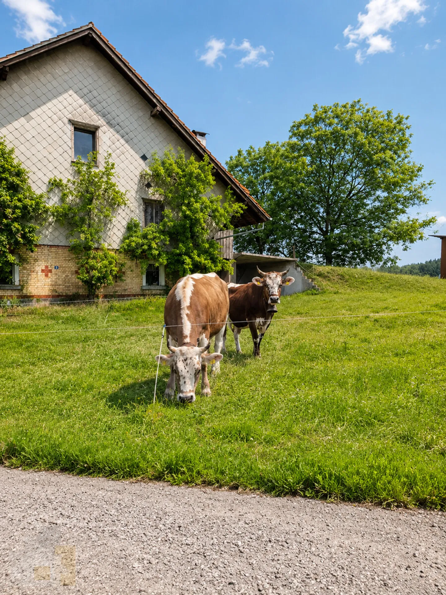 Selbstversorger Stall mit Auslauf für zwei Pferde zusammen - Foto 11 di 11