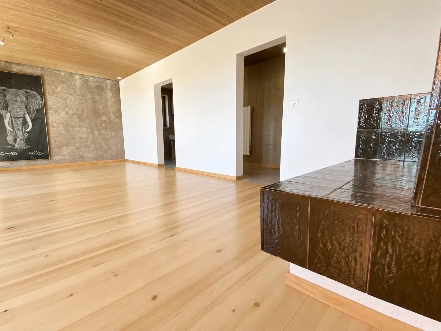 DIESSE (BE) BELLE MAISON VILLAGEOISE AVEC VUE SUR LES ALPES - Foto 5 di 13