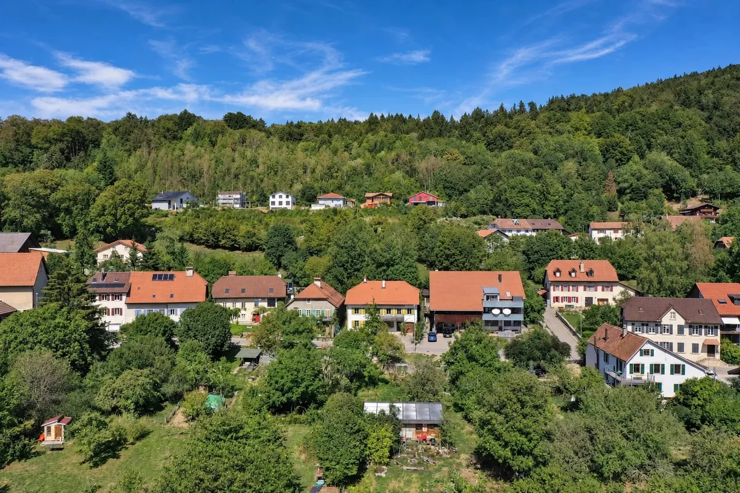 DIESSE (BE) BELLE MAISON VILLAGEOISE AVEC VUE SUR LES ALPES - Foto 1 di 13