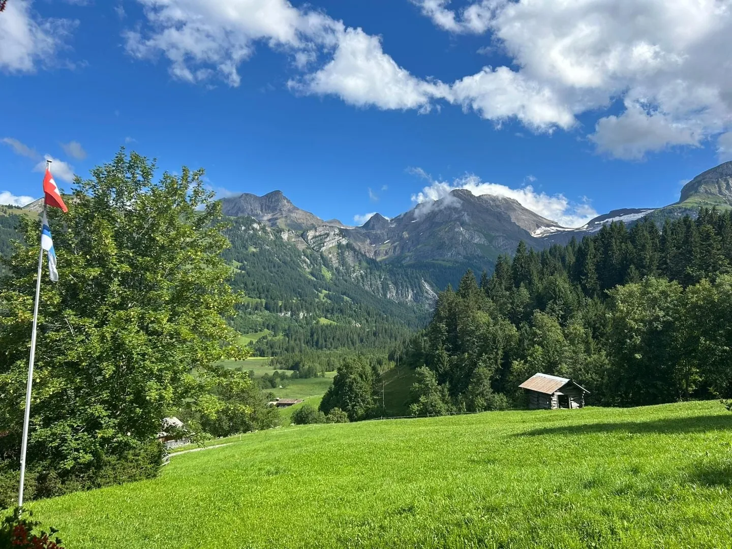 Chalet de luxe - inondé de lumière avec vue panoramique et maximum d'intimité - Photo 2 sur 13