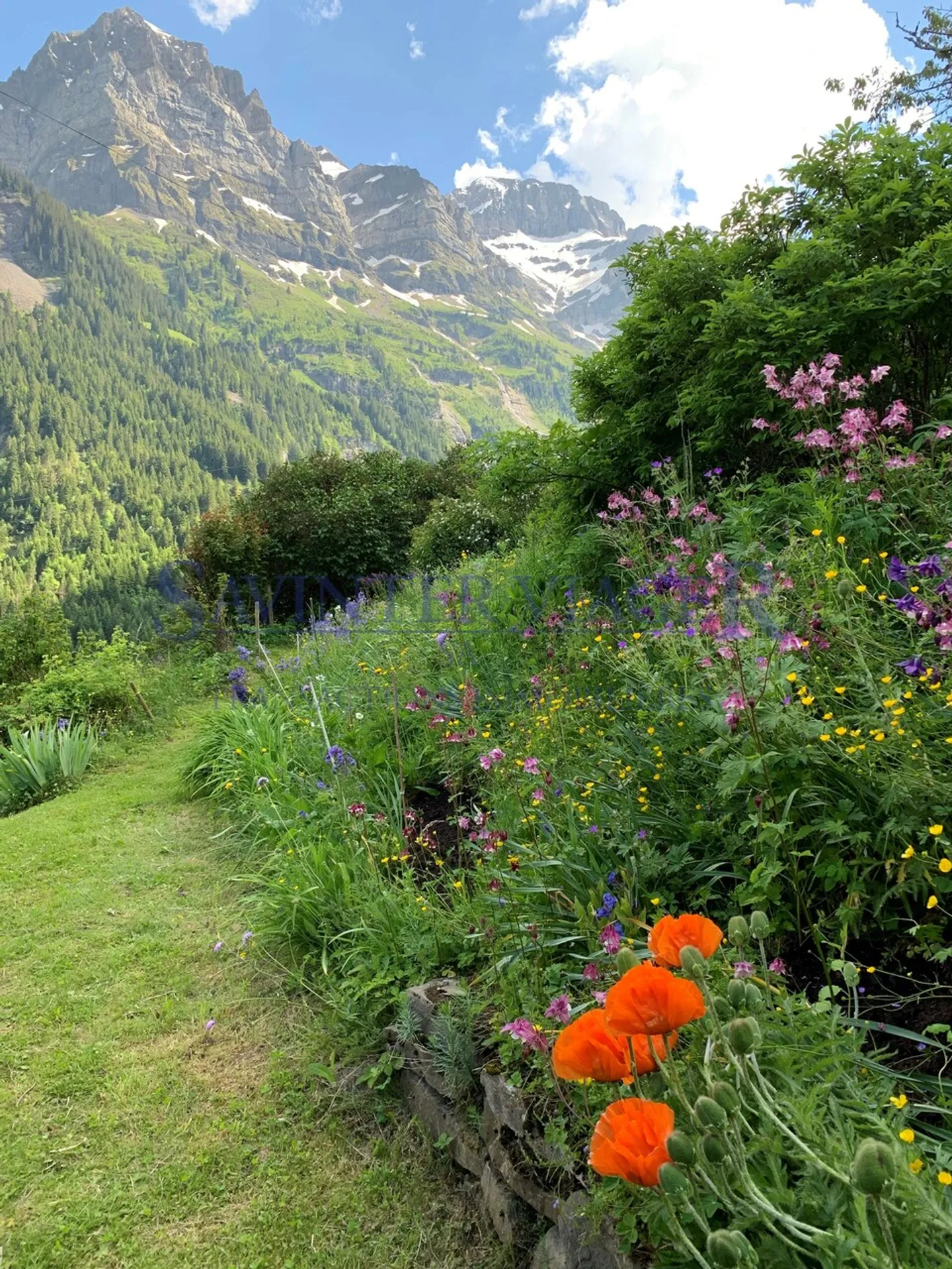 Champéry, Per gli amanti della natura, Chalet autentico e affascinante - Foto 5 di 13