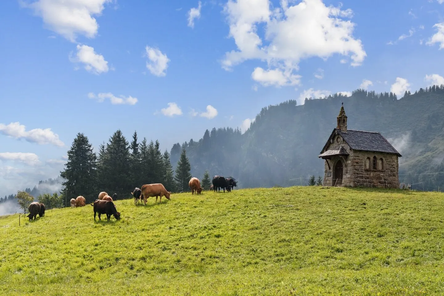 Portes du Soleil - studio meublé en ski in-ski out - Photo 2 sur 13