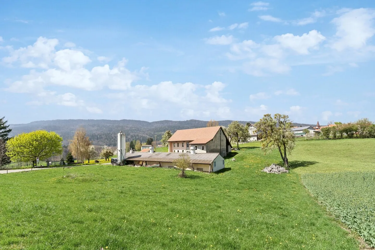 Rare: 19th Century Farm Close to Gland - Large Volume and Beautiful Potential - Photo 1 of 13