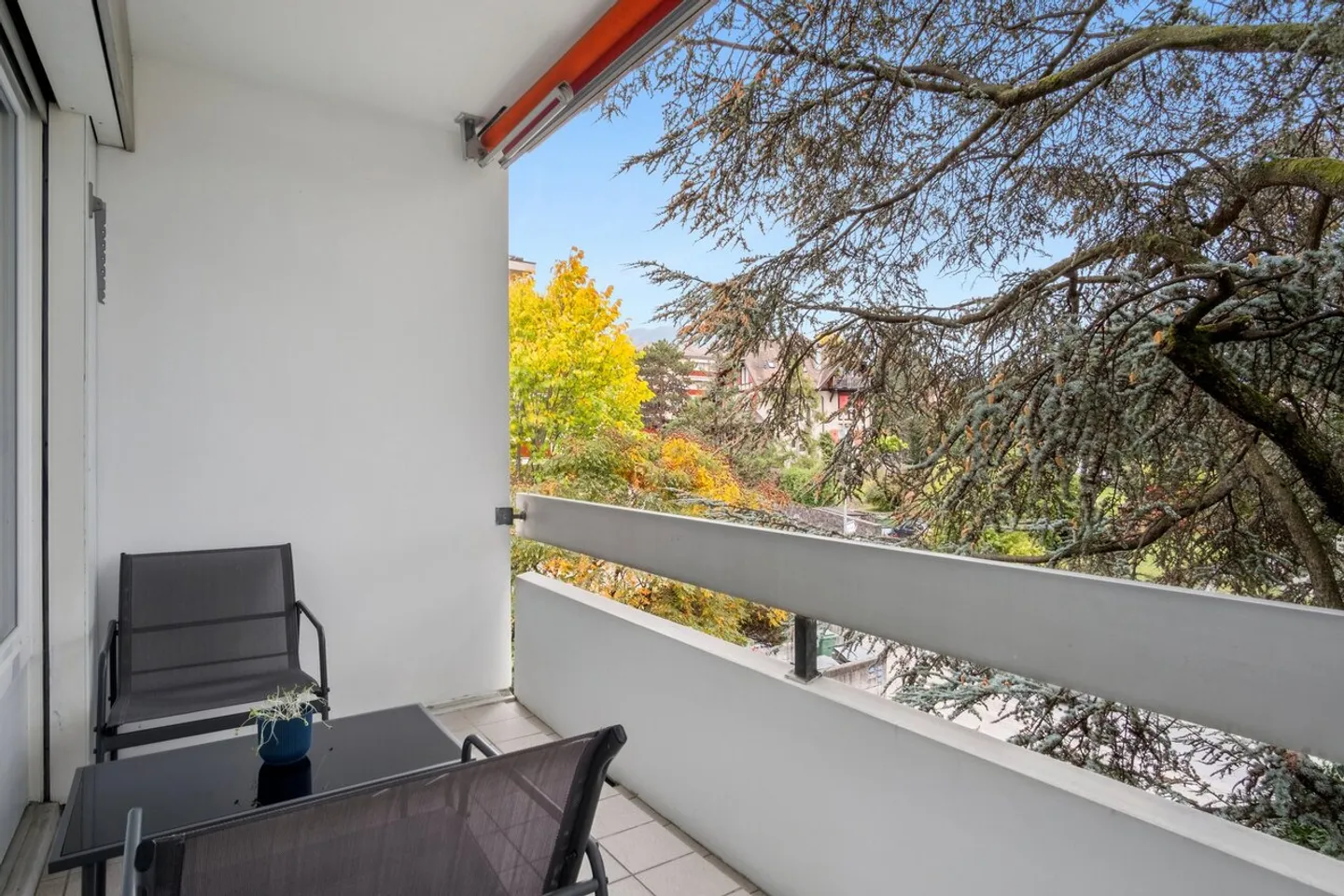 Fully Renovated 4.5 Room Apartment - Photo 6 of 13
