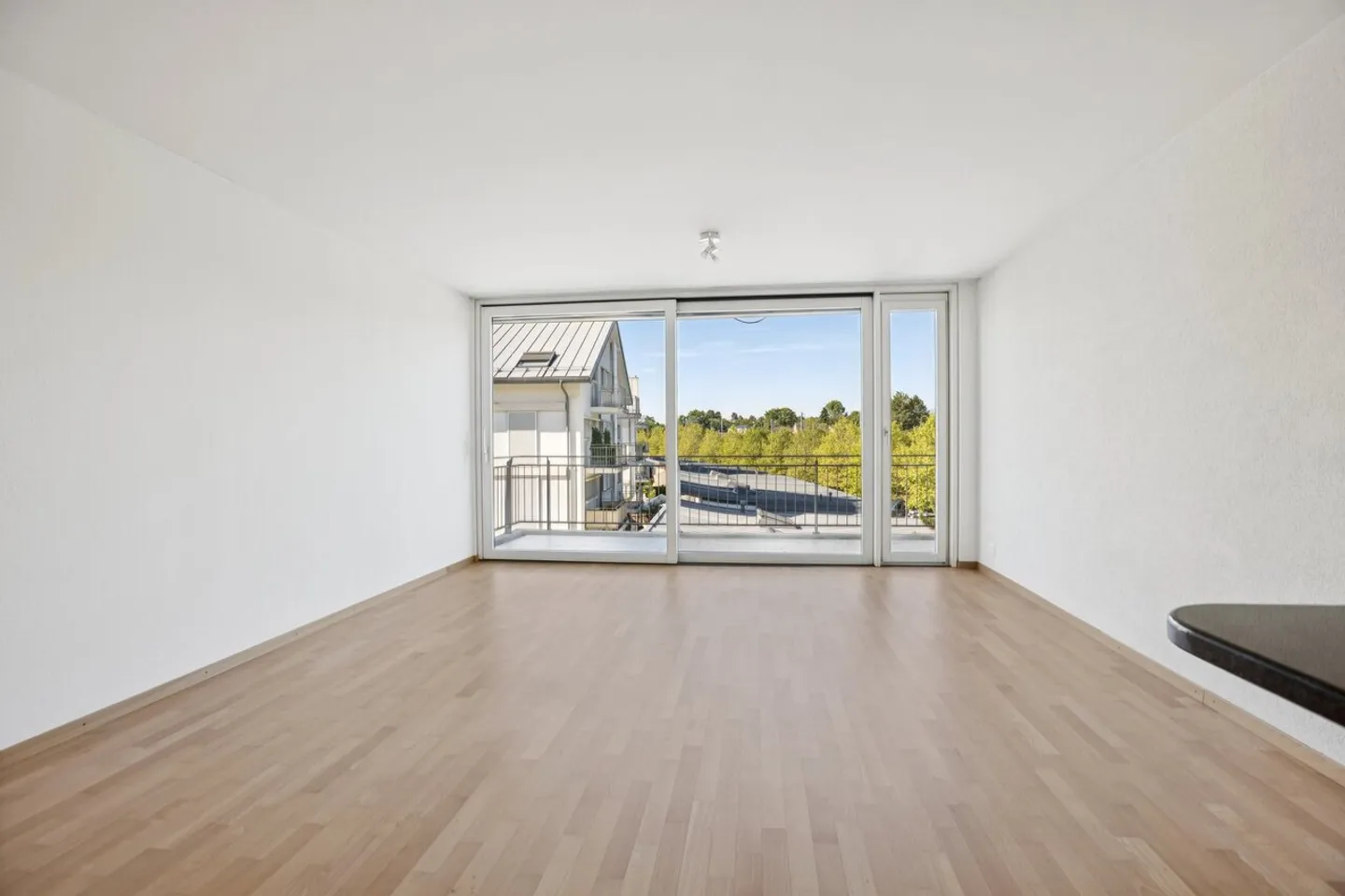 Bright apartment with lake and Alps view - Photo 6 of 11