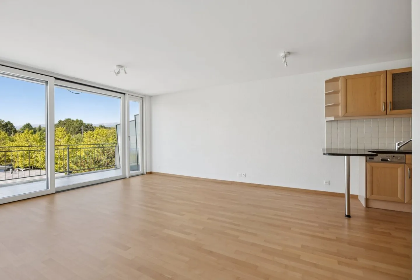 Bright apartment with lake and Alps view - Photo 5 of 11