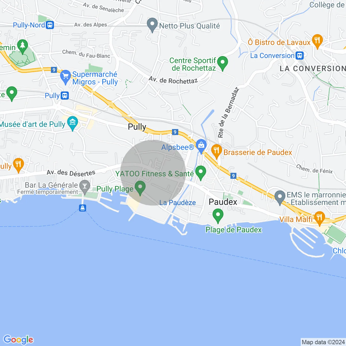 La Palmeraie - Pully - Lot 3 - Photo 5 sur 7