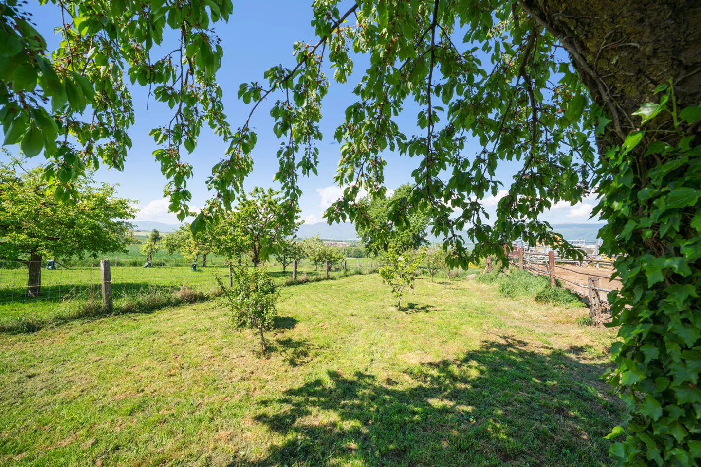 Casa familiare con ampio esterno e terrazza, vicino a Yverdon - Foto 9 di 9