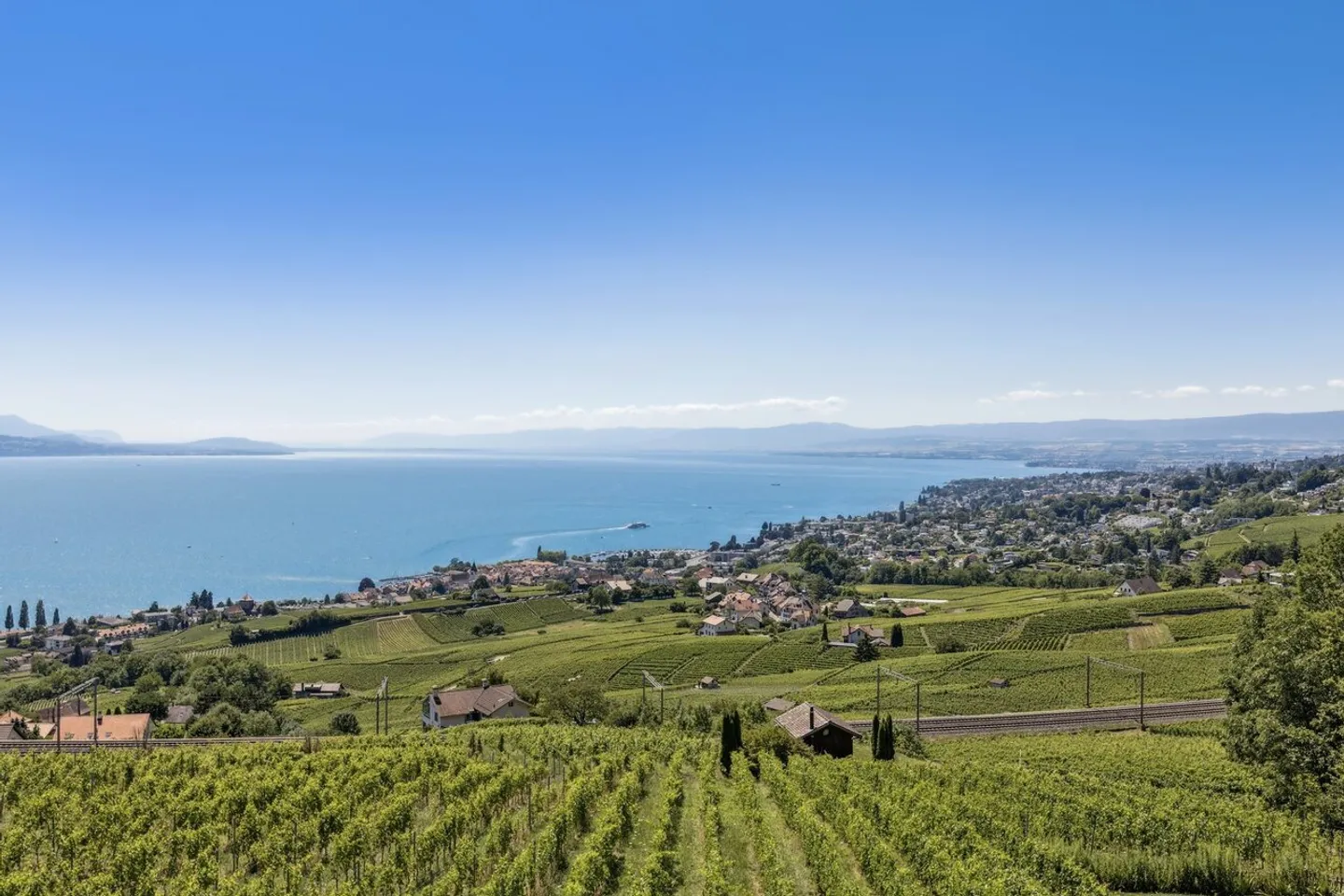 Nel cuore delle vigne, una casa vinicola eccezionale di fronte al Lago di Ginevra - Foto 12 di 12