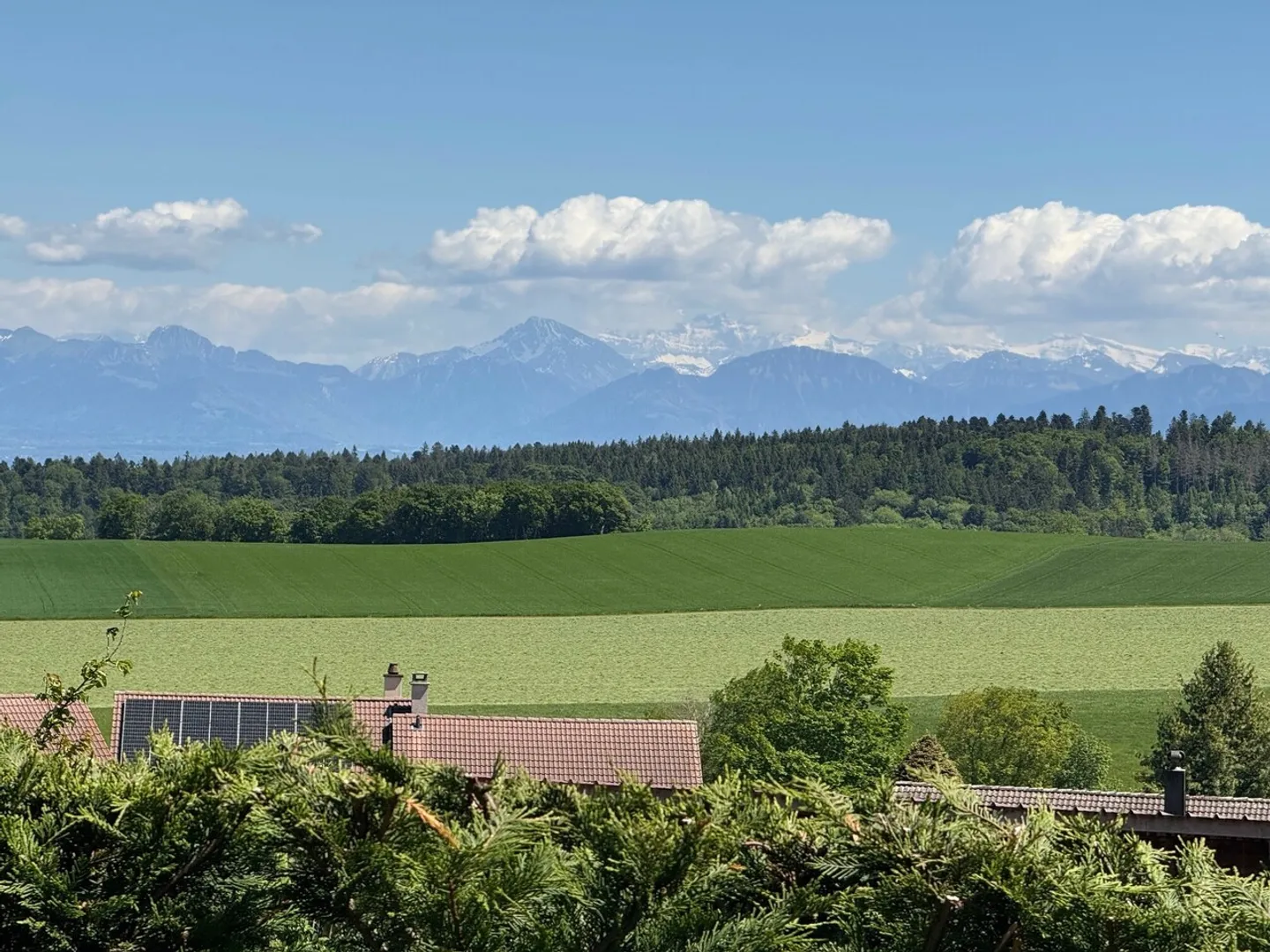 A 15 MN DE GLAND, BEL APPARTEMENT 85m², JARDIN, VUE LAC ET Mt BLANC - Foto 7 von 13