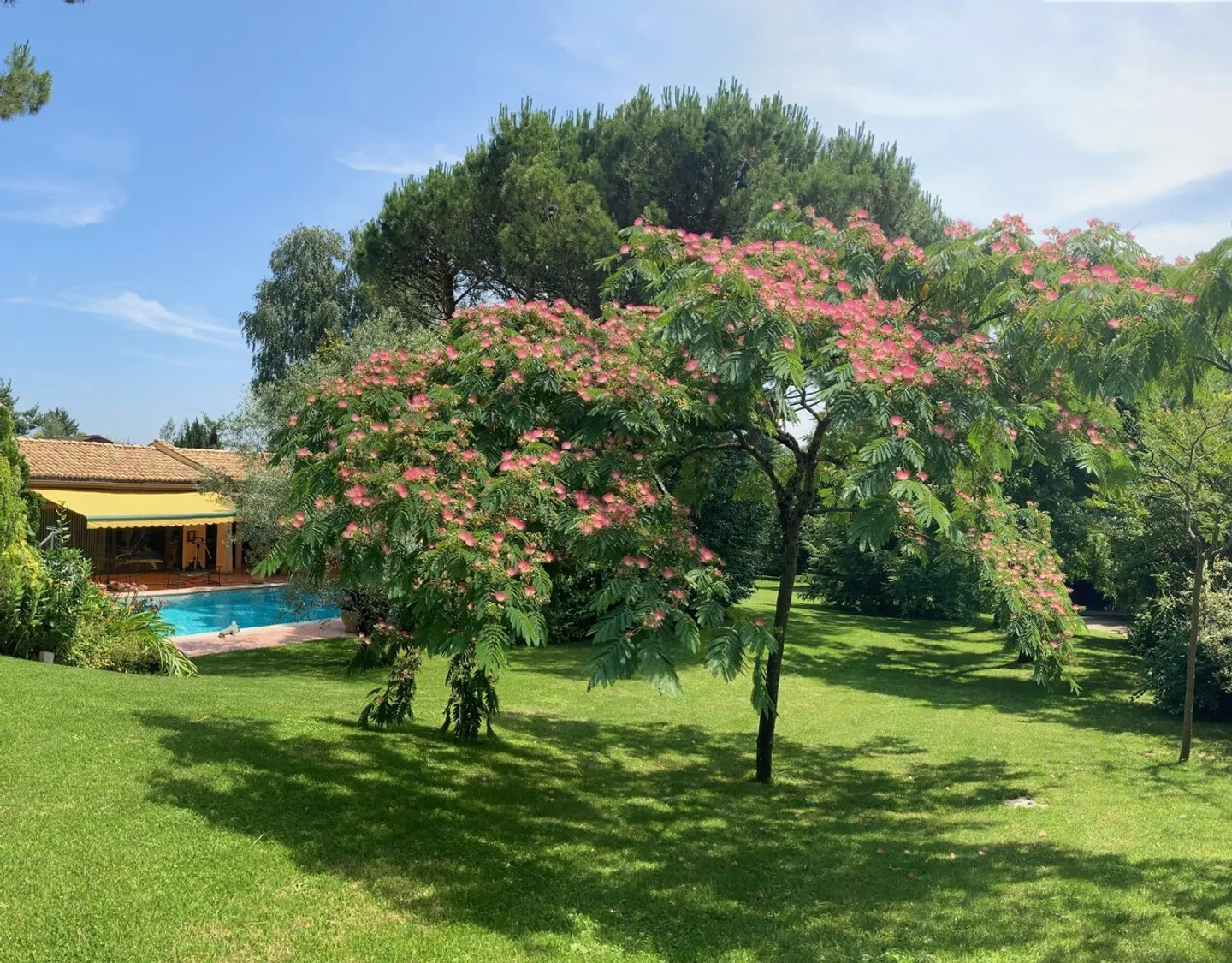 EXOTICA-Immobilie mit mediterranem Garten und Poolhaus - Foto 4 von 12