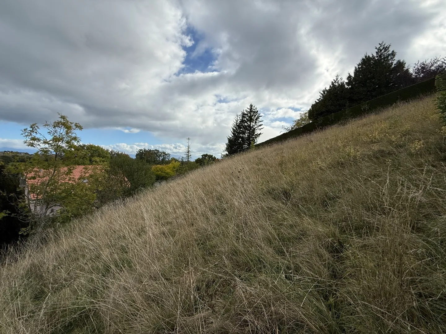 Baugrundstück in Le Vaud - Foto 2 von 9