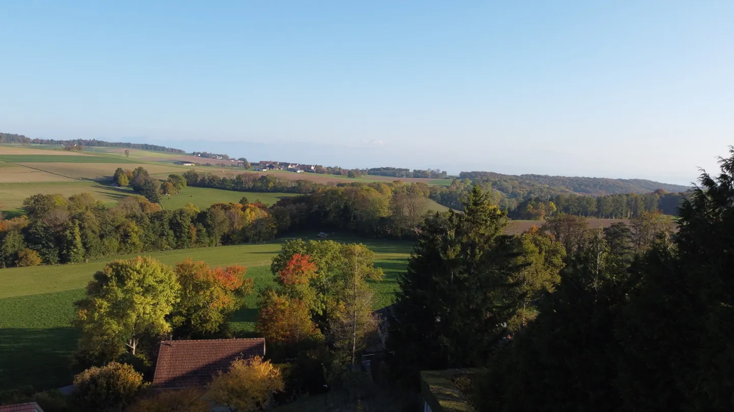 Baugrundstück in Le Vaud - Foto 7 von 9