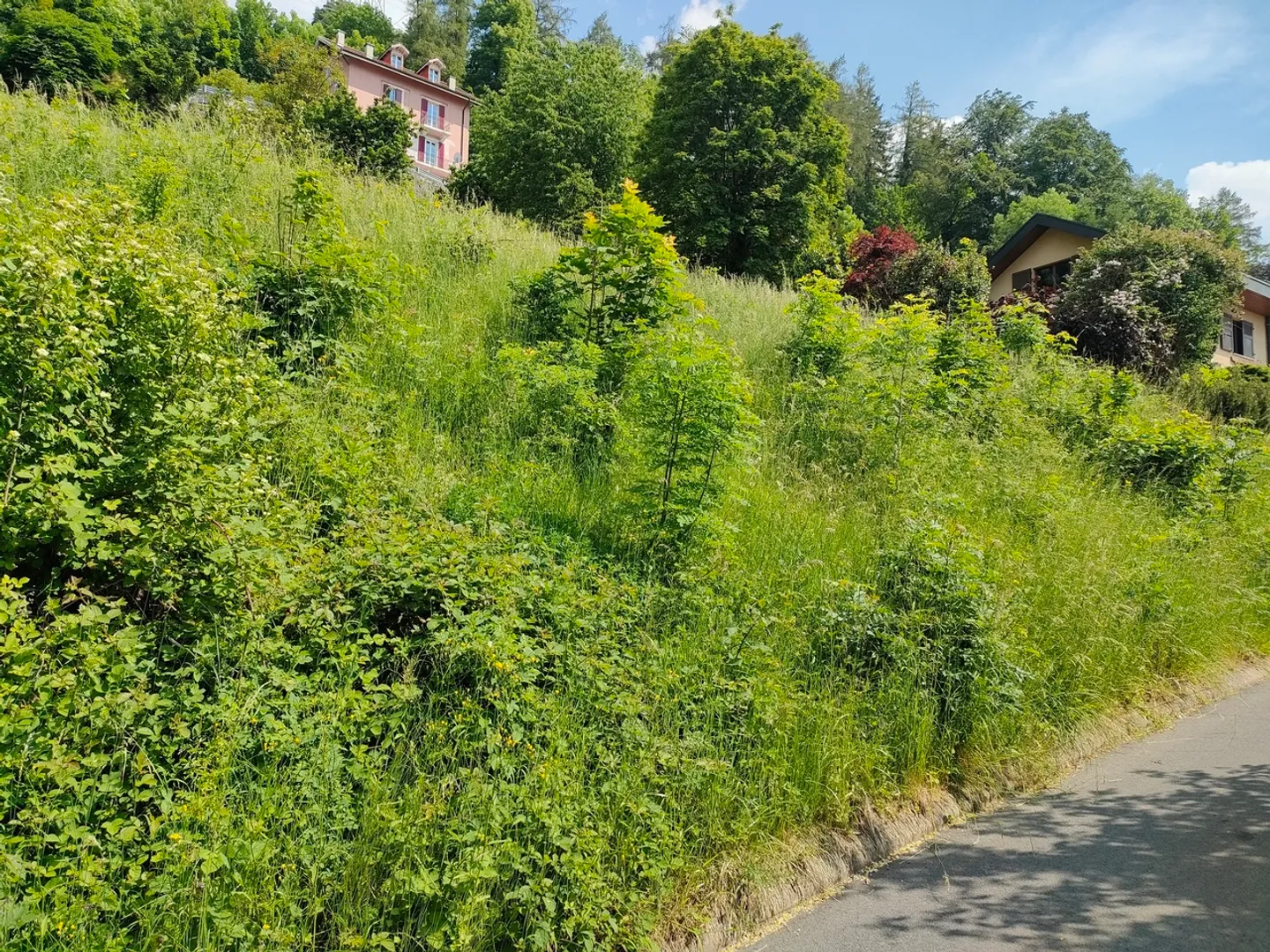 Plot with valid permit and project for a detached villa - Photo 6 of 6