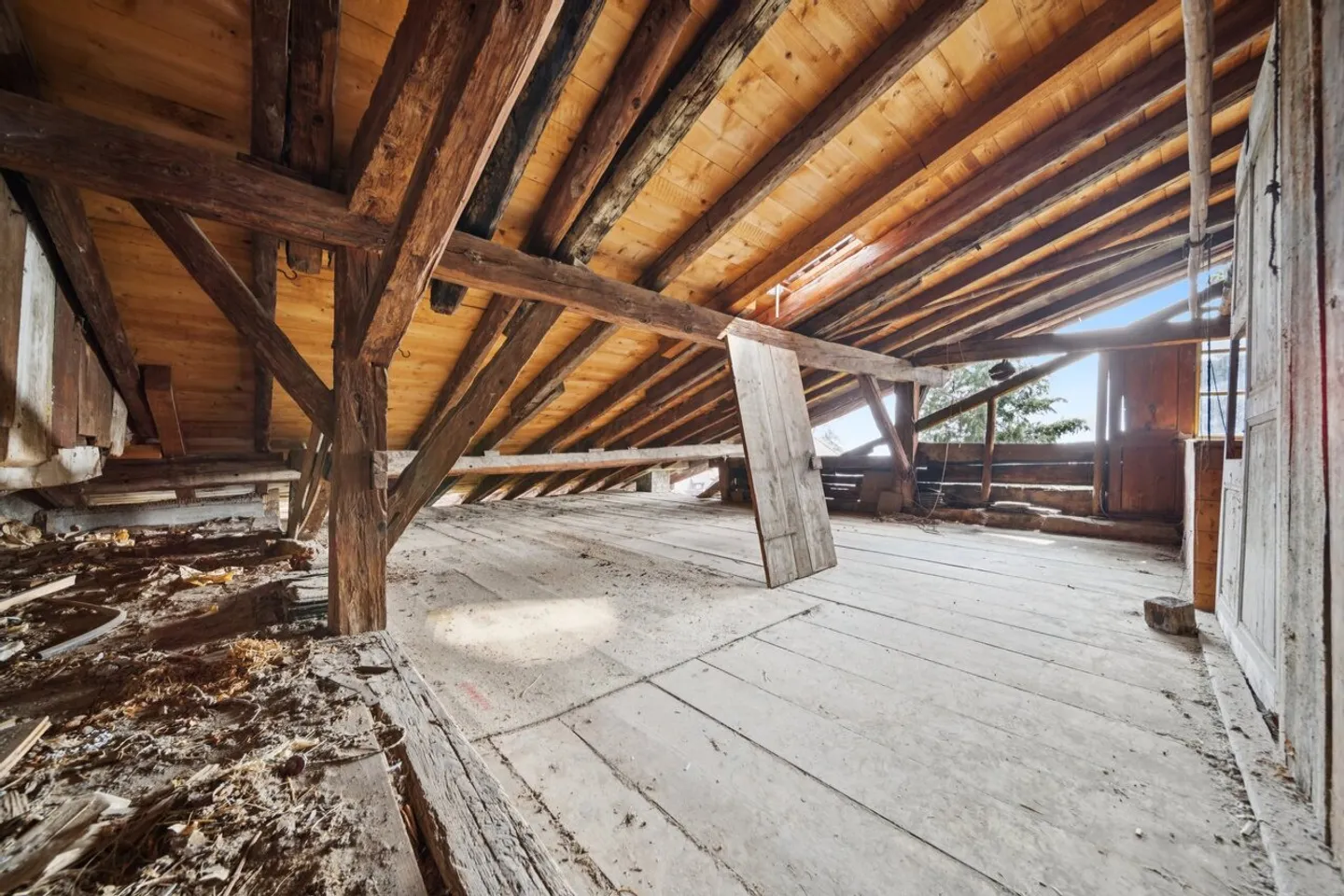 Casa di villaggio da ristrutturare con progetto per due appartamenti e studio - Foto 12 di 13