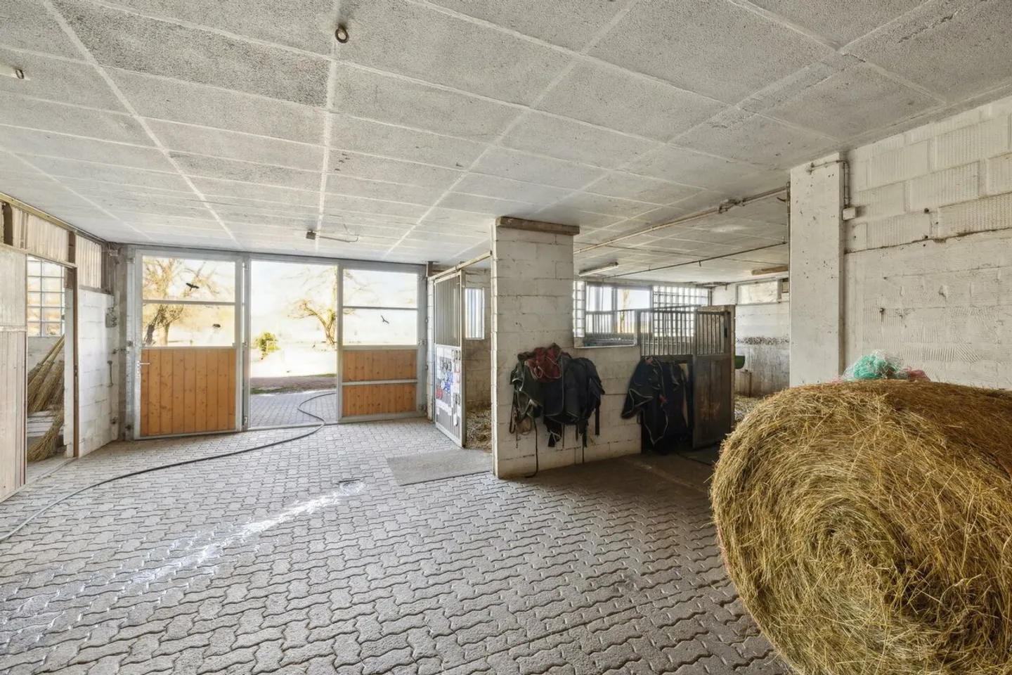 Esclusiva SOTHEBY'S Centro Equestre con rendimento - Foto 7 di 13