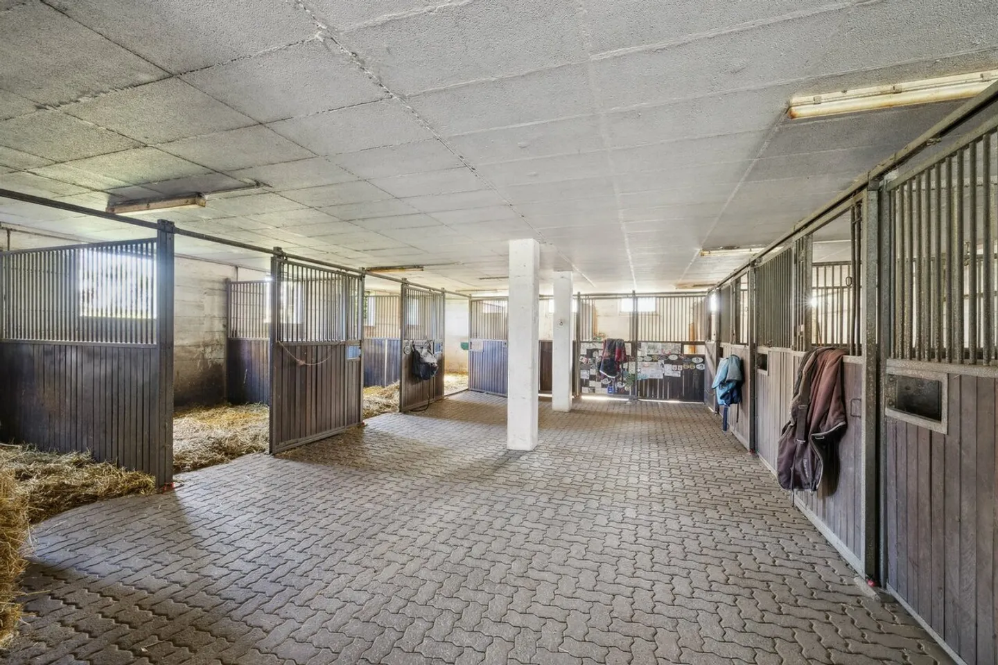 Esclusiva SOTHEBY'S Centro Equestre con rendimento - Foto 5 di 13