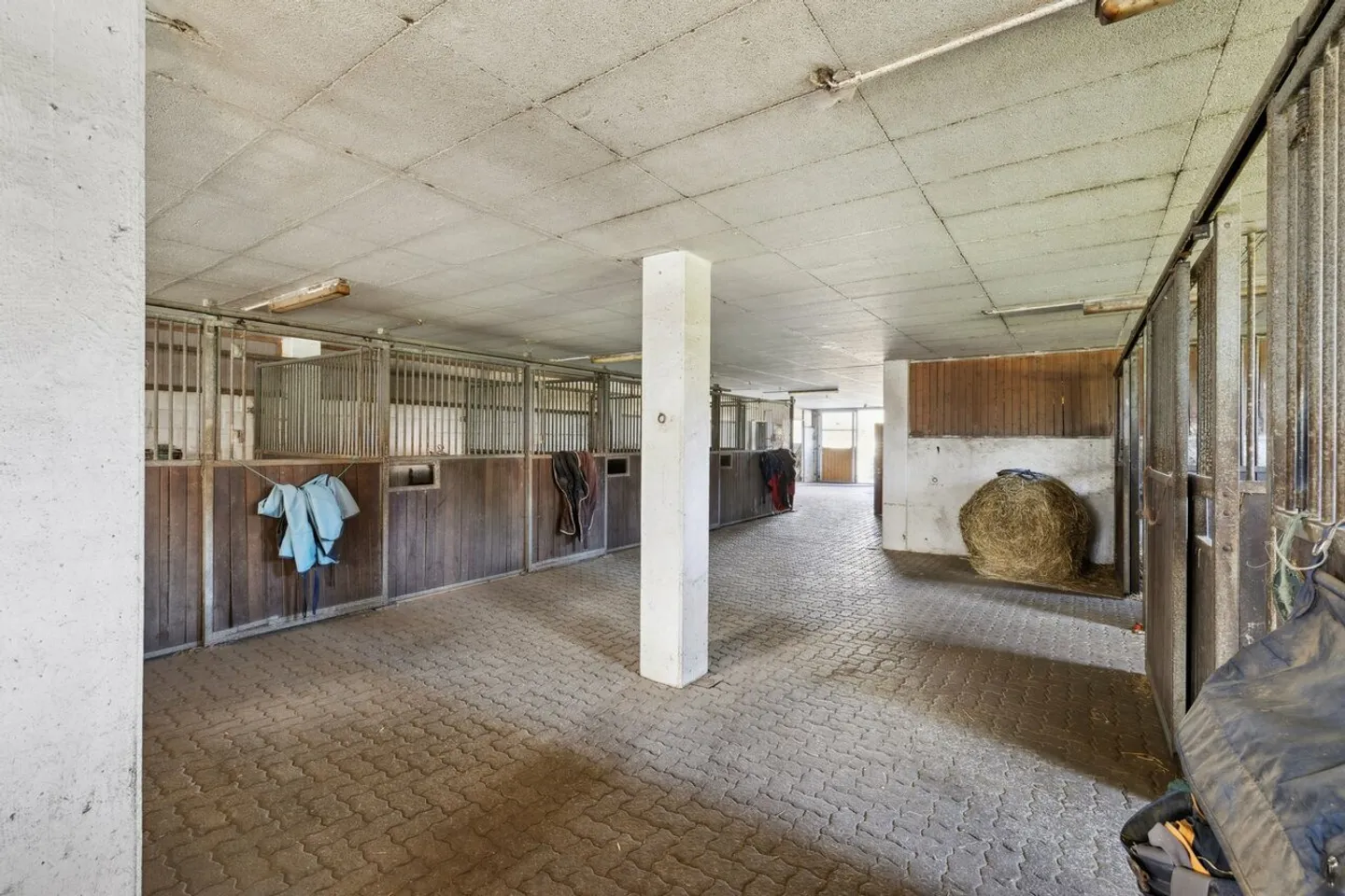 Esclusiva SOTHEBY'S Centro Equestre con rendimento - Foto 6 di 13