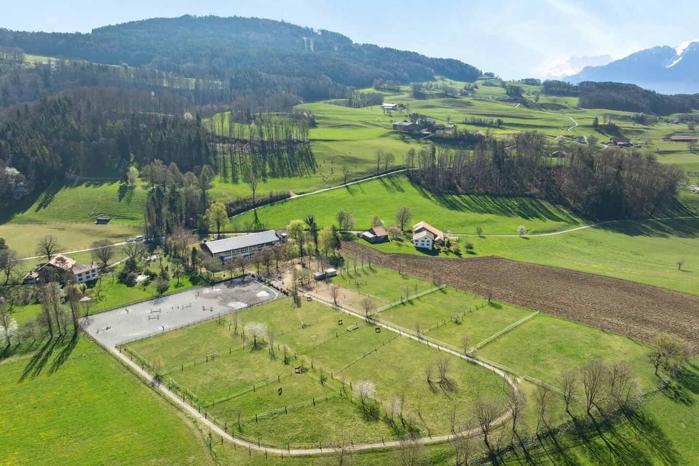 Esclusiva SOTHEBY'S Centro Equestre con rendimento - Foto 1 di 13